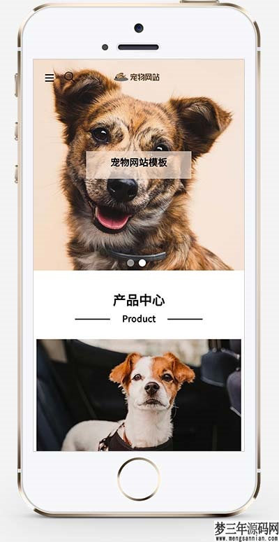图片[3]_宠物商店宠物装备类网站pbootcms模板 宠物网站源码下载_梦三年Ym